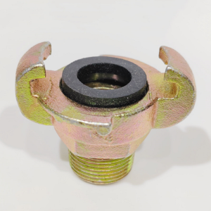 Europian Type A Male